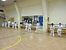 Training 2013_5